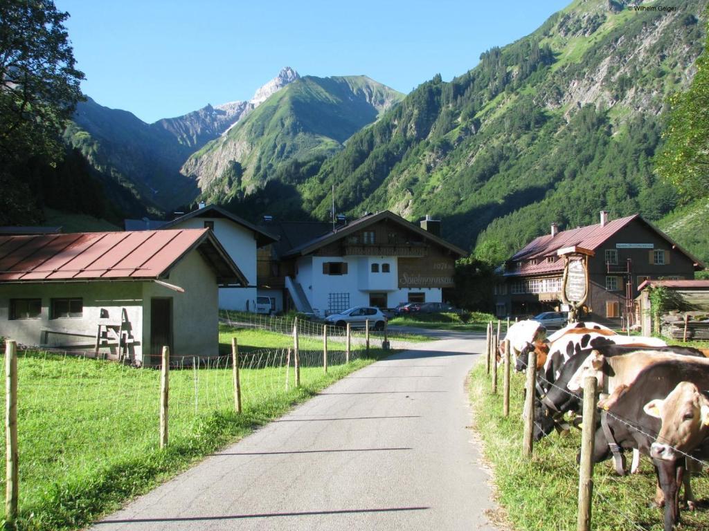 Mountain Hostelオーベルストドルフ エクステリア 写真